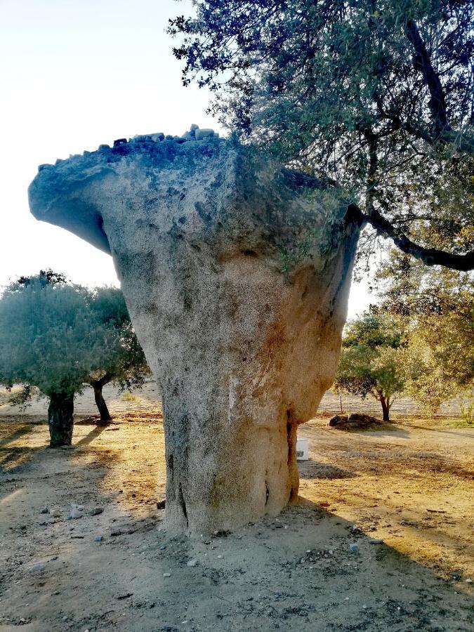 Casinha Do Sol-Posto Βίλα Monsaraz Εξωτερικό φωτογραφία